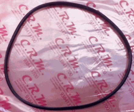 Junta Domusa labial negra Ø180 CGAS218/219 – CGAS000347