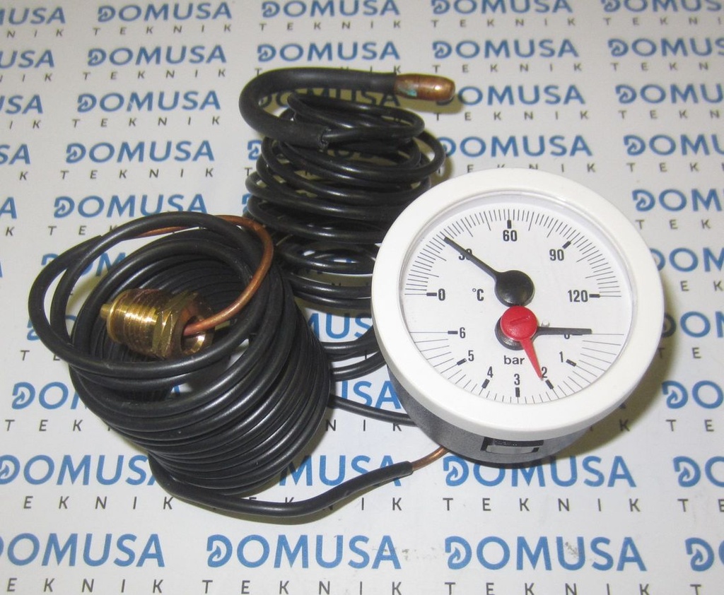 Termohidrometro Domusa (ø52-0/6B-0/120º-2000mm)