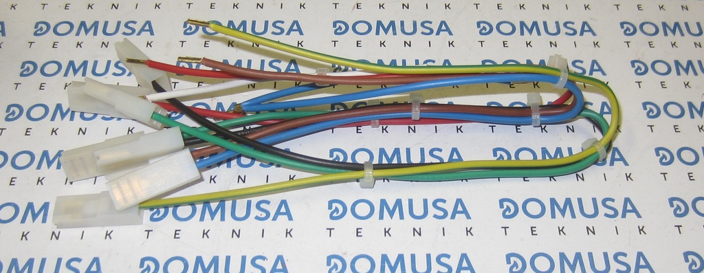 MAZO ECOGAS 2001 – CMAZ000007