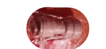 Conector union 1/4 – 2150090380