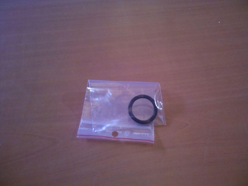 Junta D.33 para ánodo – 45500220