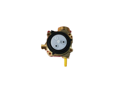 [1.018525] Cuerpo Membrana Immergas Julius 11,5L