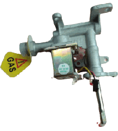 [95089] Cuerpo gas Forcali New Compact 10 L FWH-10A (2017 actual) gas natural