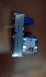 [RP71005] Motorreductor Eider Biomasa 3.5 RPM