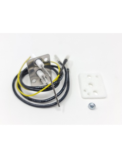 [8738722025] Electrodo Neckar W10-Ame23 – 8738722025