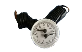 [I39806020] Termohidrometro Ferroli 0-120ºc 0/6bar – I39806020