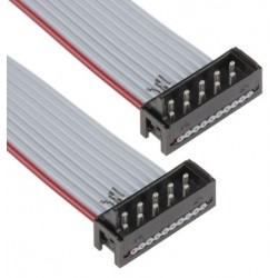 [RE104016] Cable de datos de 10 pin – RE104016