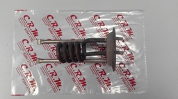 [9001500207] Conjunto resistencia termo Greenheiss New 10L/20L TV/M/SE