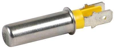 [20286] TERMISTENCIA 60064153 CHAFFOTEAUX – 20286