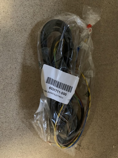 [6021711] Conjunto cableado electrico Nordica Extraflame