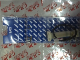 [122280010] Flusostato Baxi Roca Laura