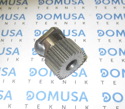 [RCON000011] Engranaje Domusa Bioclass HM 10-16-25-43 sistema de limpieza (SCON000730) – RCON000011