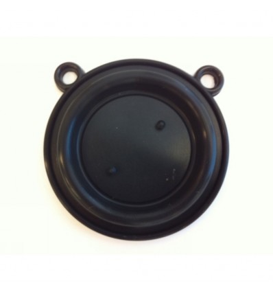 [1.010674] MEMBRANA IMMERGAS STANDARD ACS 1.2121